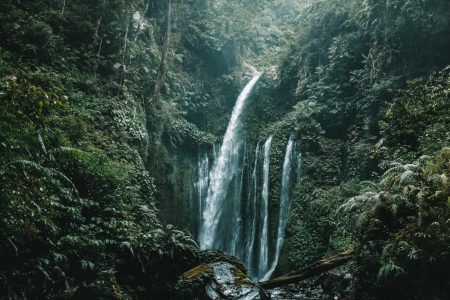 [Open Trip] Madakaripura Waterfall