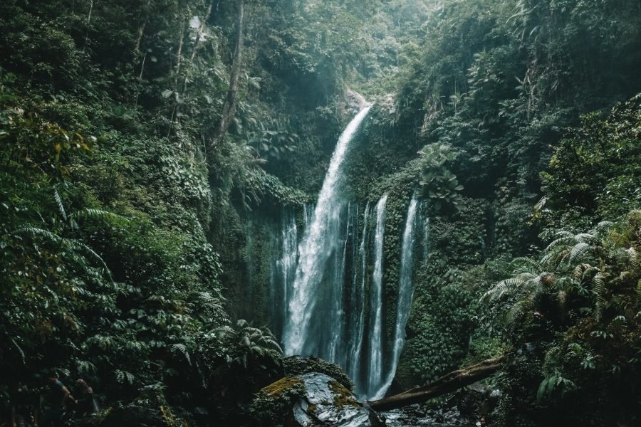 [Open Trip] Madakaripura Waterfall