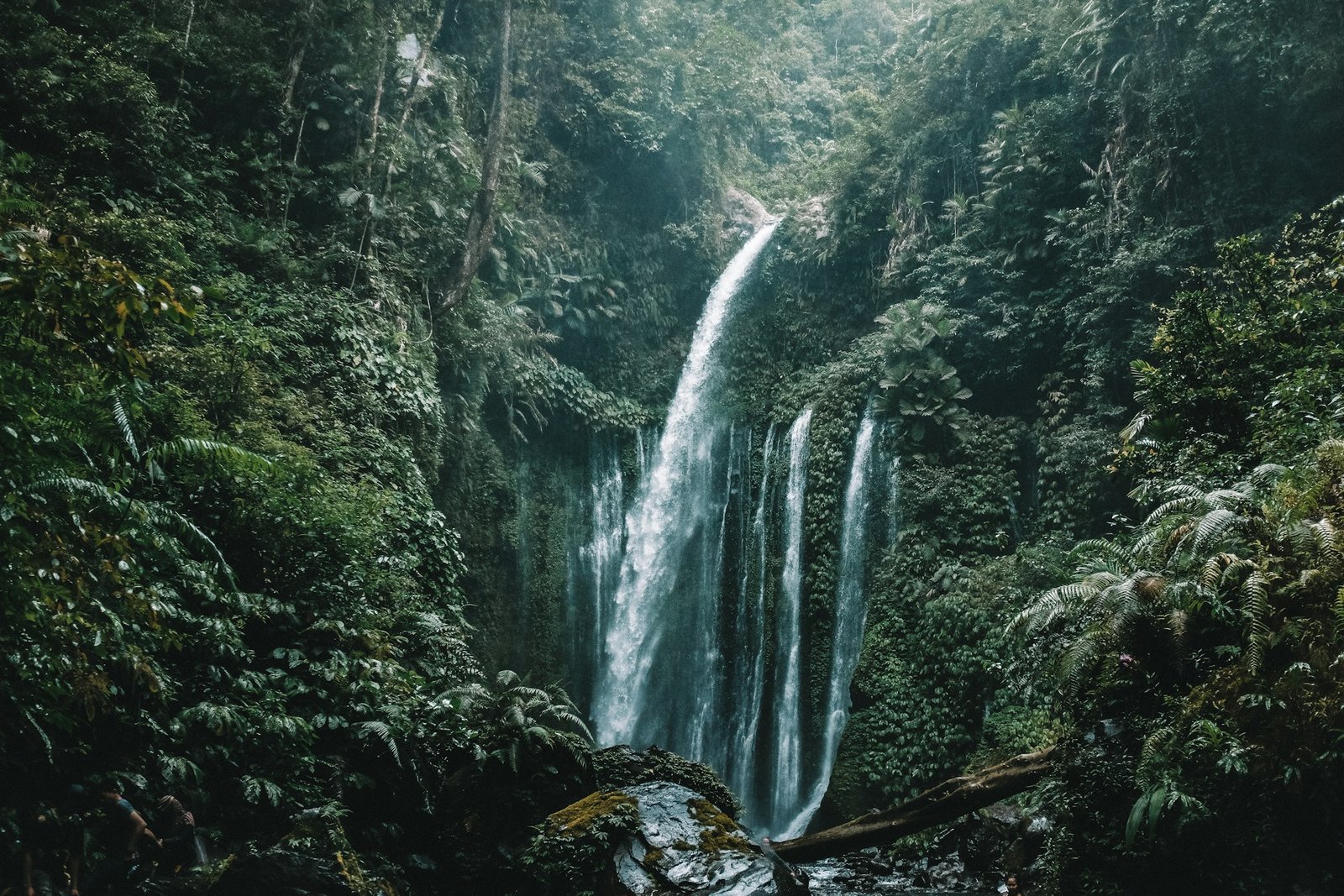 Reswara