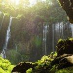 best time to visit east java